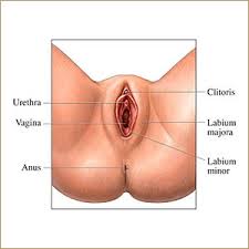 how loose should a vagina be Porn site thailand